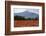 Poppy Field at Domat/Ems in Switzerland-Armin Mathis-Framed Photographic Print