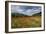 Poppy Field at Domat/Ems in Switzerland-Armin Mathis-Framed Photographic Print