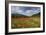 Poppy Field at Domat/Ems in Switzerland-Armin Mathis-Framed Photographic Print