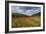 Poppy Field at Domat/Ems in Switzerland-Armin Mathis-Framed Photographic Print