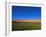 Poppy Field Between Daulitiar and Chakhcharan, Afghanistan, Asia-Jane Sweeney-Framed Photographic Print