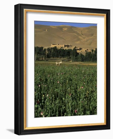 Poppy Field Between Daulitiar and Chakhcharan, Afghanistan-Jane Sweeney-Framed Photographic Print