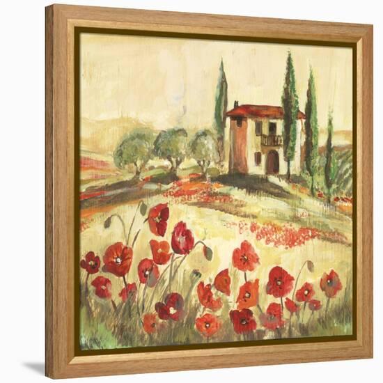 Poppy Field I-Gregory Gorham-Framed Stretched Canvas