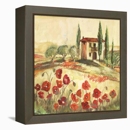 Poppy Field I-Gregory Gorham-Framed Stretched Canvas