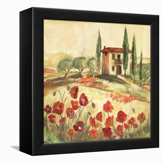 Poppy Field I-Gregory Gorham-Framed Stretched Canvas
