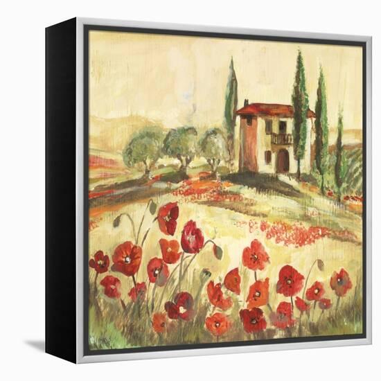 Poppy Field I-Gregory Gorham-Framed Stretched Canvas