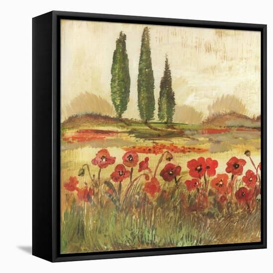 Poppy Field II-Gregory Gorham-Framed Stretched Canvas