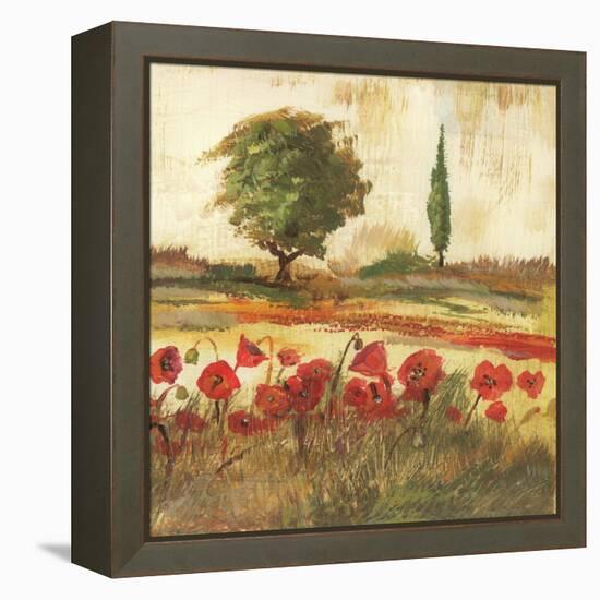 Poppy Field III-Gregory Gorham-Framed Stretched Canvas