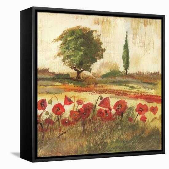 Poppy Field III-Gregory Gorham-Framed Stretched Canvas