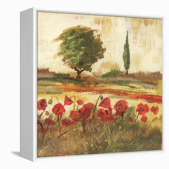 Poppy Field III-Gregory Gorham-Framed Stretched Canvas