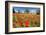 Poppy Field in front of a Country House on the Hills near Orvieto, Province of Terni, Umbria, Italy-null-Framed Art Print