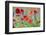 Poppy field, Mount Olive, North Carolina, USA-Lisa S. Engelbrecht-Framed Photographic Print