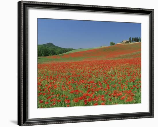 Poppy Field Near Montechiello, Tuscany, Italy-Lee Frost-Framed Photographic Print