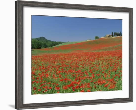 Poppy Field Near Montechiello, Tuscany, Italy-Lee Frost-Framed Photographic Print