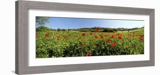 Poppy Field with Town of Pienza in Distance, Tuscany, Italy, Europe-Lee Frost-Framed Photographic Print