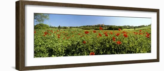 Poppy Field with Town of Pienza in Distance, Tuscany, Italy, Europe-Lee Frost-Framed Photographic Print