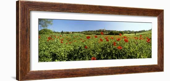 Poppy Field with Town of Pienza in Distance, Tuscany, Italy, Europe-Lee Frost-Framed Photographic Print