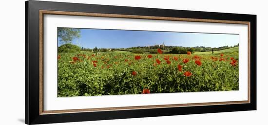 Poppy Field with Town of Pienza in Distance, Tuscany, Italy, Europe-Lee Frost-Framed Photographic Print