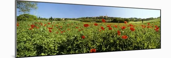 Poppy Field with Town of Pienza in Distance, Tuscany, Italy, Europe-Lee Frost-Mounted Photographic Print