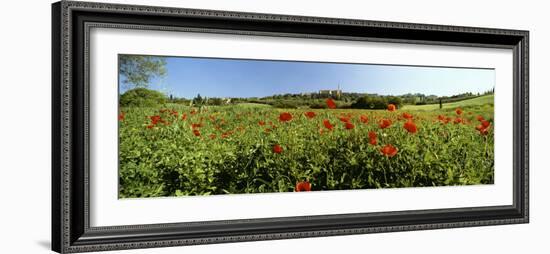 Poppy Field with Town of Pienza in Distance, Tuscany, Italy, Europe-Lee Frost-Framed Photographic Print