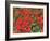 Poppy Field-Kirstie Adamson-Framed Giclee Print