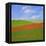 Poppy Field-Cora Niele-Framed Premier Image Canvas