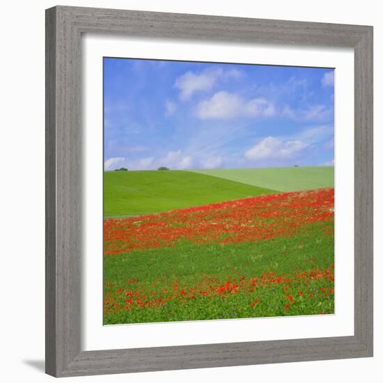 Poppy Field-Cora Niele-Framed Giclee Print