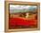 Poppy Fields Afar-Marino-Framed Stretched Canvas