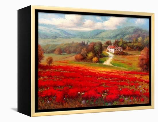 Poppy Fields Afar-Marino-Framed Stretched Canvas