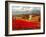 Poppy Fields Afar-Marino-Framed Art Print