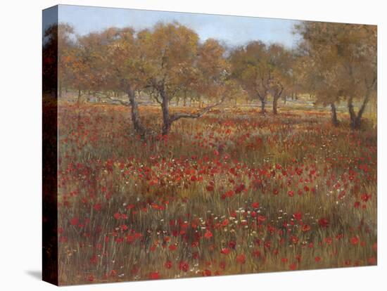 Poppy Fields In Red-Longo-Framed Stretched Canvas