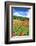 Poppy Fields Near Covarrubias, Castile and Leon, Spain, Europe-Alex Robinson-Framed Photographic Print