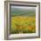 Poppy Fields, South Downs, Sussex, England, UK, Europe-John Miller-Framed Photographic Print