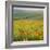 Poppy Fields, South Downs, Sussex, England, UK, Europe-John Miller-Framed Photographic Print