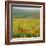 Poppy Fields, South Downs, Sussex, England, UK, Europe-John Miller-Framed Photographic Print