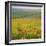 Poppy Fields, South Downs, Sussex, England, UK, Europe-John Miller-Framed Photographic Print