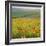 Poppy Fields, South Downs, Sussex, England, UK, Europe-John Miller-Framed Photographic Print