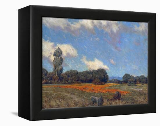 Poppy Fields-Granville Redmond-Framed Stretched Canvas