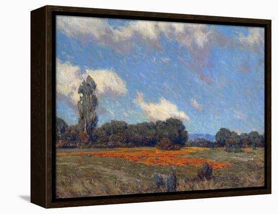 Poppy Fields-Granville Redmond-Framed Stretched Canvas