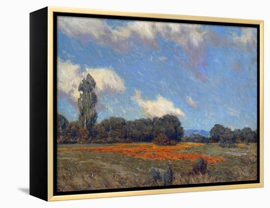 Poppy Fields-Granville Redmond-Framed Stretched Canvas