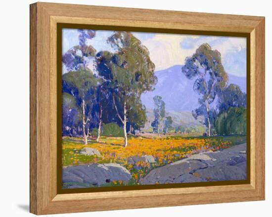 Poppy Fields-Paul Lauritz-Framed Stretched Canvas