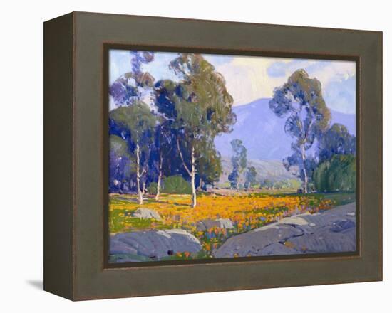 Poppy Fields-Paul Lauritz-Framed Stretched Canvas