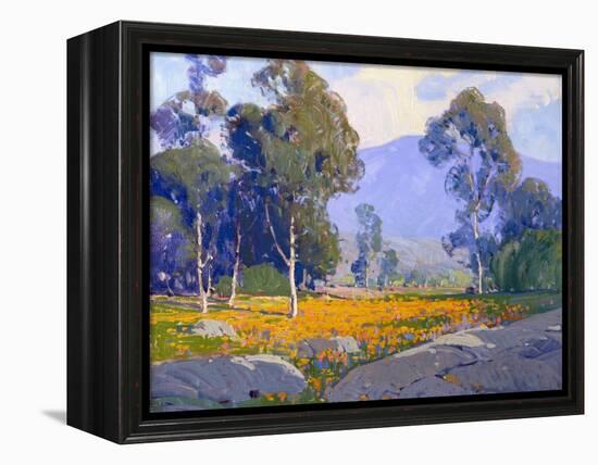 Poppy Fields-Paul Lauritz-Framed Stretched Canvas