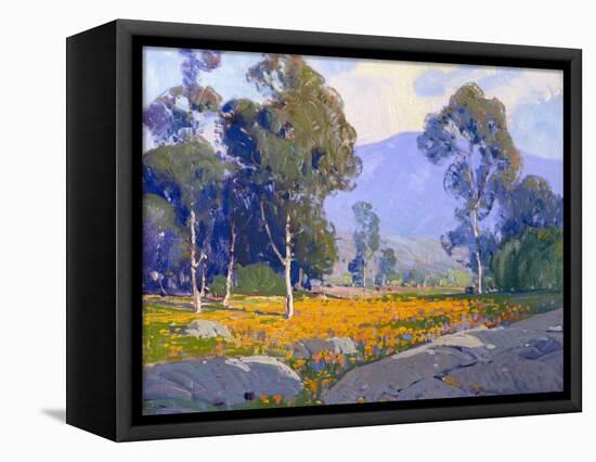 Poppy Fields-Paul Lauritz-Framed Stretched Canvas