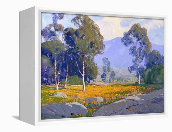 Poppy Fields-Paul Lauritz-Framed Stretched Canvas