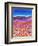 Poppy Fields-Caroline Duncan-Framed Giclee Print