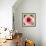 Poppy Flower I-Joseph Eta-Framed Giclee Print displayed on a wall