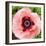 Poppy Flower I-Joseph Eta-Framed Giclee Print