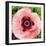 Poppy Flower I-Joseph Eta-Framed Giclee Print