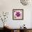Poppy Flower II-Joseph Eta-Framed Giclee Print displayed on a wall
